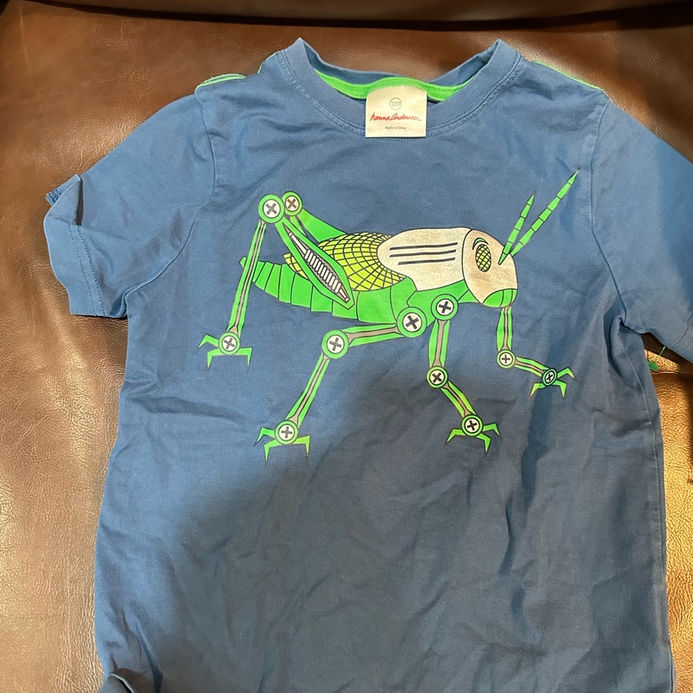 Hanna Andersson Green and Blue Short Sleeve Tee with Grasshopper Design